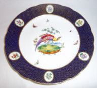 Copeland cabinet plate retailed by T. Goode London with hand-painted bird with butterflies with blue