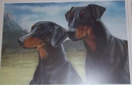 Framed artists proof depicting pr dobermans signed in pencil by the artist Stuart Mallard size