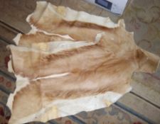 2 sm. animal skins