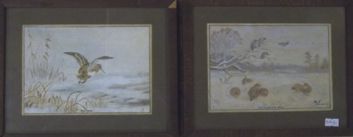 2 sm. framed watercolours depicting game birds