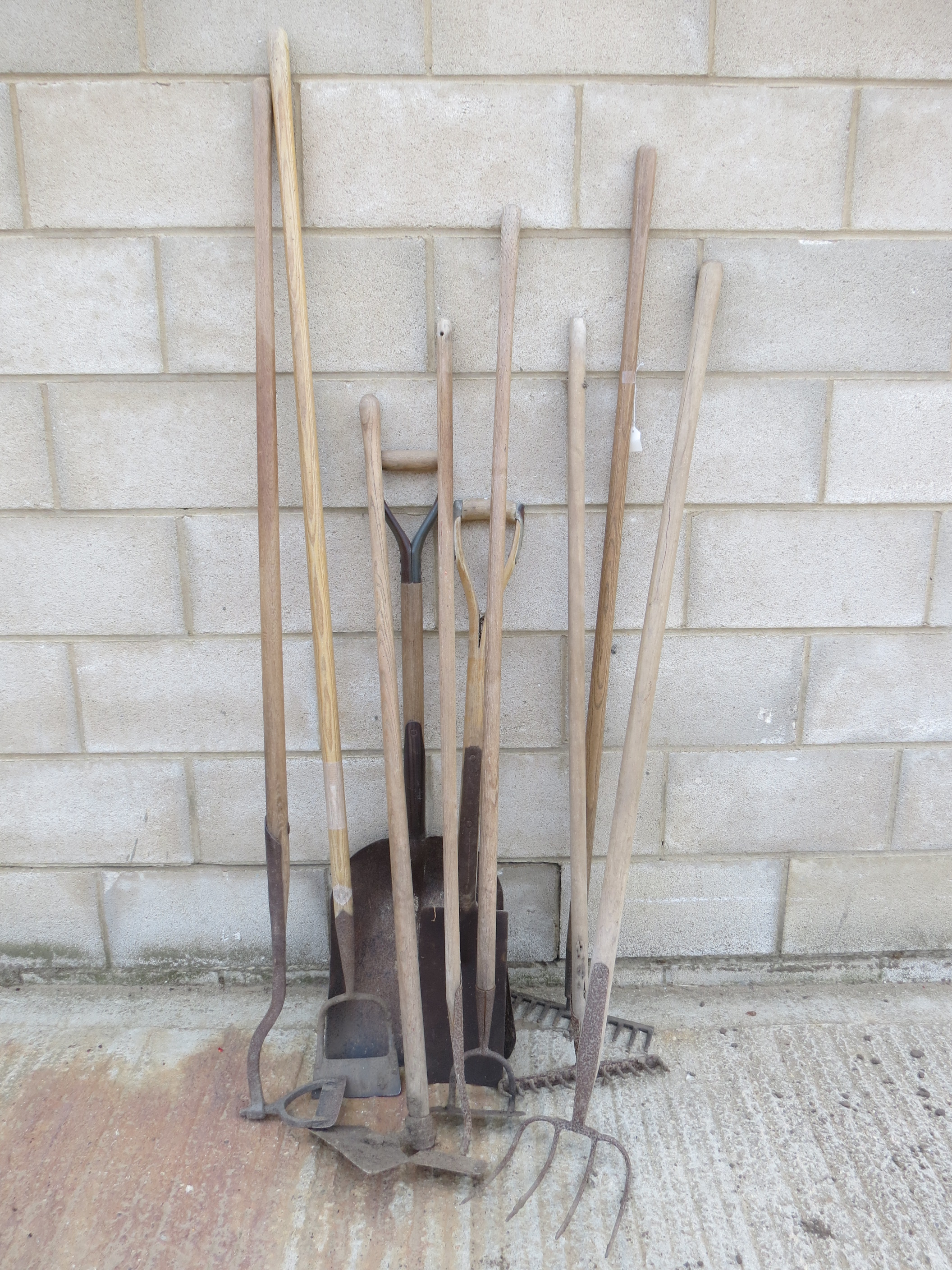 A quantity of long handled garden tools including rakes, hoes, a spade and broad shovel.