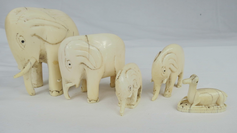 Four vintage ivory elephants of graduated size (maximum 3"), also an ivory deer.