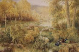 George James Rankin (1864-1937), Capercaille in woodland, signed, watercolour, (unframed).