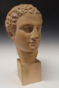 A French terracotta bust after the Antique, 39cm high.