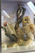 Taxidermy: a Victorian display of three birds by William Farren, Naturalist, Regent Street,