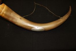 A presentation horn, of large natural form applied with a white metal presentation plaque in German,