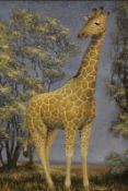 Michael Lain(?) (20th Century), Study of a giraffe, signed, oil on canvas, 62 x 75cm.