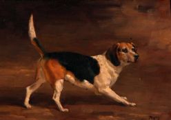 R M (20TH CENTURY, BRITISH) A FOXHOUND oil on board, initialled and dated 43 lower right 4 ½ x 8ins