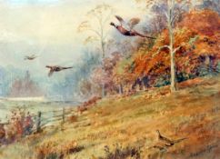 * ROLAND GREEN (1890-1972, BRITISH) PHEASANT IN FLIGHT OVER WOODLAND watercolour, signed lower right