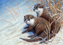 MARK CHESTER (CONTEMPORARY, BRITISH) OTTERS IN THE SNOW acrylic, signed lower right 11 x 14ins
