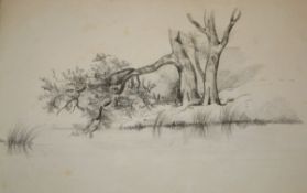 JOHN BERNEY CHROME (1794-1842) COTTAGE AND TREE STUDIES sketchbook of pencil drawings, inscribed