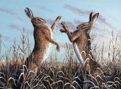 MARK CHESTER (CONTEMPORARY) BOXING HARES acrylic, signed lower right 11 x 14ins
