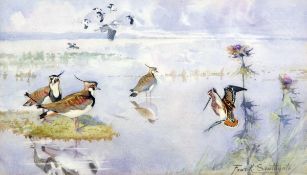 FRANK SOUTHGATE, RBA (1872-1916) GREEN PLOVER, SNIPE & HERON watercolour, signed lower right 6 ½ x