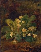 JOHN CROME (1768-1821) STUDY OF PRIMROSES oil on canvas laid to panel 17 x 13ins