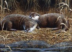 MARK CHESTER (CONTEMPORARY) SLEEPING OTTERS acrylic, signed lower right 11 x 14 ½ins
