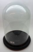 A large circular clear glass Dome, raised on a black painted socle on ball feet, height 16 ½”