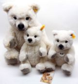 Three Steiff Polar Teds in varying sizes