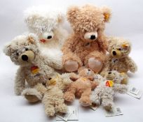 A box of twelve assorted Steiff Teddy Bears of varying height and colour