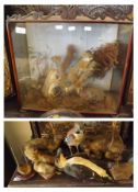 A Group of Various Taxidermy Items, comprising Case of two Red Squirrels in naturalistic