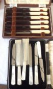 A Cased Set of six stainless bladed Tea Knives with composition handles; together with a further