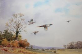 JOHN PALEY EAGMA (CONTEMPORARY, BRITISH) PHEASANT DRIVE watercolour, signed lower left 14 x 18ins