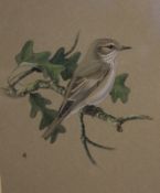 A HARRIS (20TH CENTURY, BRITISH) SPOTTED FLYCATCHER, DUNNOCK AND GOLDFINCH set of three