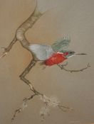 * TERENCE LAMBERT (BORN 1951, BRITISH) KINGFISHER ON A BRANCH watercolour, signed lower right 19 x