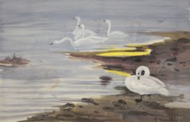 PHILIP RICKMAN (1891-1982, BRITISH) SWANS watercolour, monogrammed and dated 1937 4 x 6 ½ins