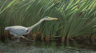 C J F COOMBS (20TH CENTURY, BRITISH) HERON – LEIGHTON MOSS oil on board, signed and dated 1983,