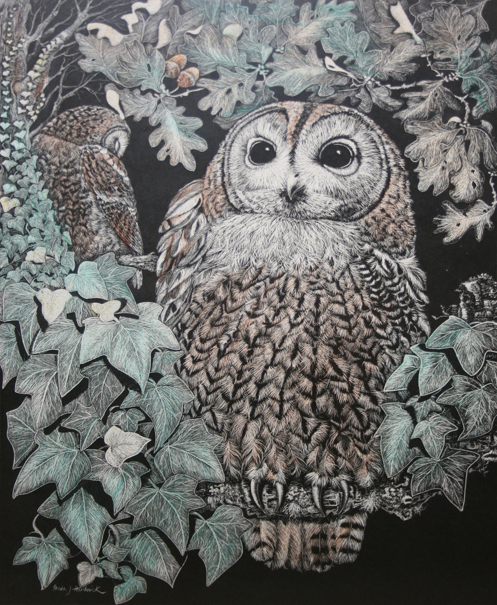 PAMELA HARDWICK (20TH CENTURY, BRITISH) OWLS hand coloured print, signed in pencil to margin lower