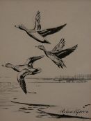 * ROLAND GREEN (1890-1972, BRITISH) TEAL IN FLIGHT 1954 pen and ink drawing, signed lower right 7