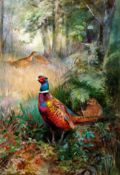 * ROLAND GREEN (1890-1972, BRITISH) PHEASANT IN WOODLAND watercolour, signed lower right 21 x 14ins