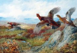 ARCHIBALD THORBURN (1860-1935, BRITISH) THE SEASONS SET – GROUSE coloured artist’s proof with