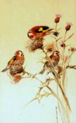* ROLAND GREEN (1890-1972, BRITISH) GOLDFINCHES ON THISTLE watercolour, signed lower right 11 x