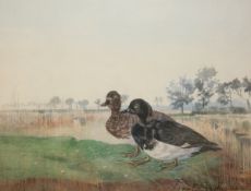 FRANK SOUTHGATE RBA (1872-1916, BRITISH) TUFTED DUCKS BY WATERS EDGE watercolour, signed lower right