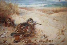 AFTER ARCHIBALD THORBURN SNIPE ON A BEACH limited edition coloured print, numbered 270/850 in pencil