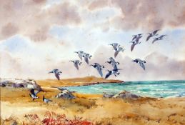 * ROBERT W MILLIKEN (BORN 1920, BRITISH) BARNACLE GEESE IN FLIGHT OVER A COAST watercolour, signed