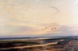 * COLIN W BURNS (BORN 1944, BRITISH) BIRDS OVER BREYDON WATER oil on canvas, signed lower left 19