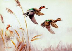 * ROLAND GREEN (1890-1972, BRITISH) TEAL PASSING BY watercolour, signed lower left 13 x 19ins