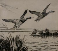 * ROLAND GREEN (1890-1972, BRITISH) MALLARDS RISING 1954 pen and ink drawing, signed lower left 7