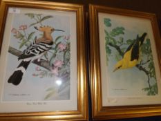 AFTER BASIL EDE BIRD STUDIES group of twelve coloured prints assorted sizes (12)