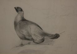PHILIP RICKMAN (1891-1982, BRITISH) GAME BIRDS pair of pencil drawings, signed and dated 1920/30