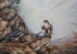 * CARL DONNER (CONTEMPORARY, BRITISH) PEREGRINE WITH PREY watercolour, signed and dated 1979,