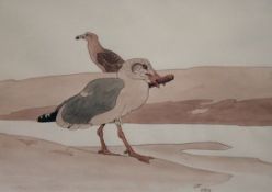 * RICHARD BARRETT TALBOT-KELLY (1896-1971, BRITISH) HERRING GULLS watercolour, monogrammed lower