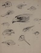 * ROLAND GREEN (1890-1972, BRITISH) VIGNETTE STUDIES OF BIRDS HEADS pencil drawing 9 x 6 ½ins