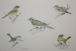 RICHARD A RICHARDSON (1922-1977, BRITISH) BIRD VIGNETTES coloured limited edition print, signed