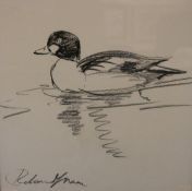 * ROLAND GREEN (1890-1972, BRITISH) GOLDEN EYE DUCK pencil drawing, signed lower left 10 ½ x 9 ½ins