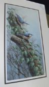 MARK CHESTER (CONTEMPORARY, BRITISH) NUTHATCHES coloured limited edition print, signed and