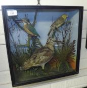 CASED WOODCOCK, KINGFISHER AND YELLOWHAMMER in naturalistic setting 15 x 15 x 7ins