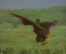 MICK CHAVE (CONTEMPORARY, BRITISH) GOLDEN EAGLE HUNTING oil on board, signed lower left 15 x 19ins